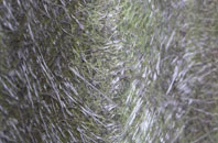 Lyddington fibreglass roof work